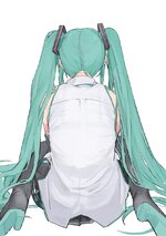 __hatsune_miku_vocaloid_drawn_by_pocche_ex__sample-86181ff2f0b09762fe84076d8df98652.jpg
