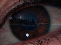 photo_2025-10-11_09-27-26 (4).jpg