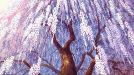 Screenshot_20250903-004400_MX Player Pro.jpg