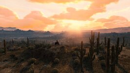 RDR1PS54-min.jpg