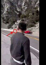 Screenshot 2025-12-23 165410.jpg