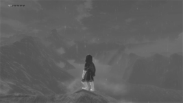 Cemu 1.26.2f - FPS_ 55.00 [Vulkan] [NVIDIA GPU] [TitleId_ 00050000-101c9400] Breath of the Wil...png