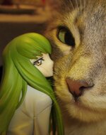 C-C--Code-Geass-CLAMP-(Anime)-9367058.jpeg