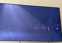IMG_2149.jpeg