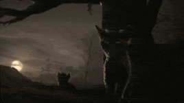 ezgif-41e3bb4e62b38595.gif
