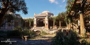 IMG_1252.jpeg