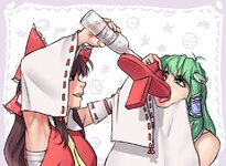 __hakurei_reimu_and_kochiya_sanae_touhou_drawn_by_hater_hatater__sample-4b5e4aa88ea59c63c7d156...jpg