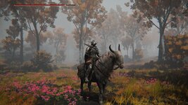 ELDEN RING™_20260515011147.jpg