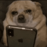 GIF_20260627_132129_720.gif