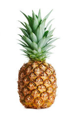 pine.jpeg