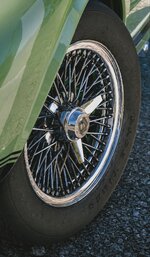 IMG_20260703_173516_625.jpg