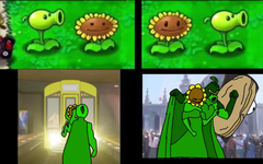 peashooter sunflower.png