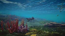 Dry Tortuga__1.jpg