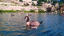20260714_034253.jpg