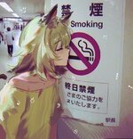 __yani_neko_yani_neko_drawn_by_huibailanqiqiu__sample-e2532fcb05315533ad17d09a363b1b44.jpg