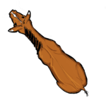 Horse_from_above(1).png