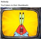 1000133741.jpg