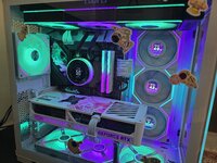 1000093380.jpg
