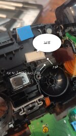 IMG_20251007_114504.jpg
