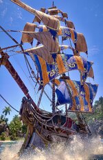 IMG_8016.jpeg