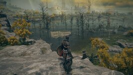 ELDEN RING™_20260802151545.jpg
