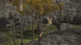 ELDEN RING™_20260802155344.jpg