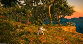 ffxiv_03072026_103326_693.jpg