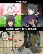 аниМемы-Anime-фэндомы-9458727.jpeg