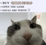 1000134067.jpg