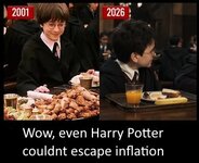 1000085103.jpg