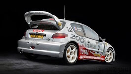 assetto-corsa-rally-peugeot-206-wrc.jpg