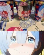 9488126.jpeg