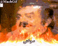 Pi7_GIF_CMP.gif