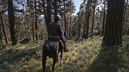 Red Dead Redemption 2 Screenshot 2026.09.21 - 03.09.19.92.jpg