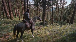 Red Dead Redemption 2 Screenshot 2026.09.21 - 03.08.44.61.jpg