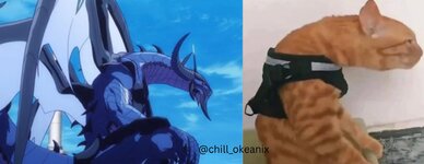 HS6Mo5daAAArevE.jpg