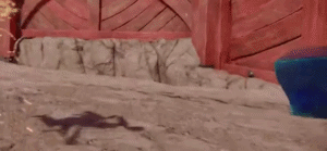 N7o3ZJD6ntK854aO.gif