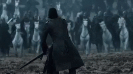 33067.gif