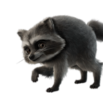 HTh86-7XEAAtXse.png