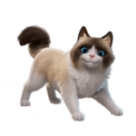 HTj_rYXW4AA_rfw.png