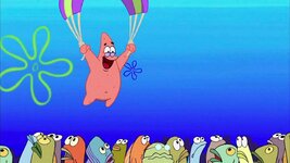 IMG_8175.jpeg