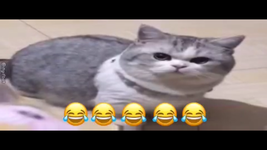 IMG_6580.png