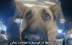یا صاحب زمان.gif