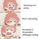 9520653.jpeg
