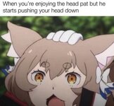 -9515510.jpeg