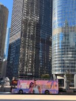 IMG_8281.jpeg
