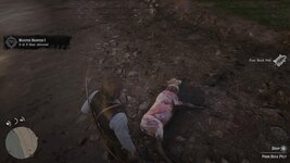animal-carcass-after-skinning-them-v0-jw0hy5yyzplf1.jpeg