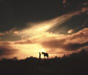 IMG_0949.jpeg