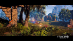 Horizon Zero Dawn™_20170504202144.png