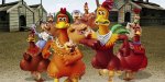 Chicken-Run-banner.jpg